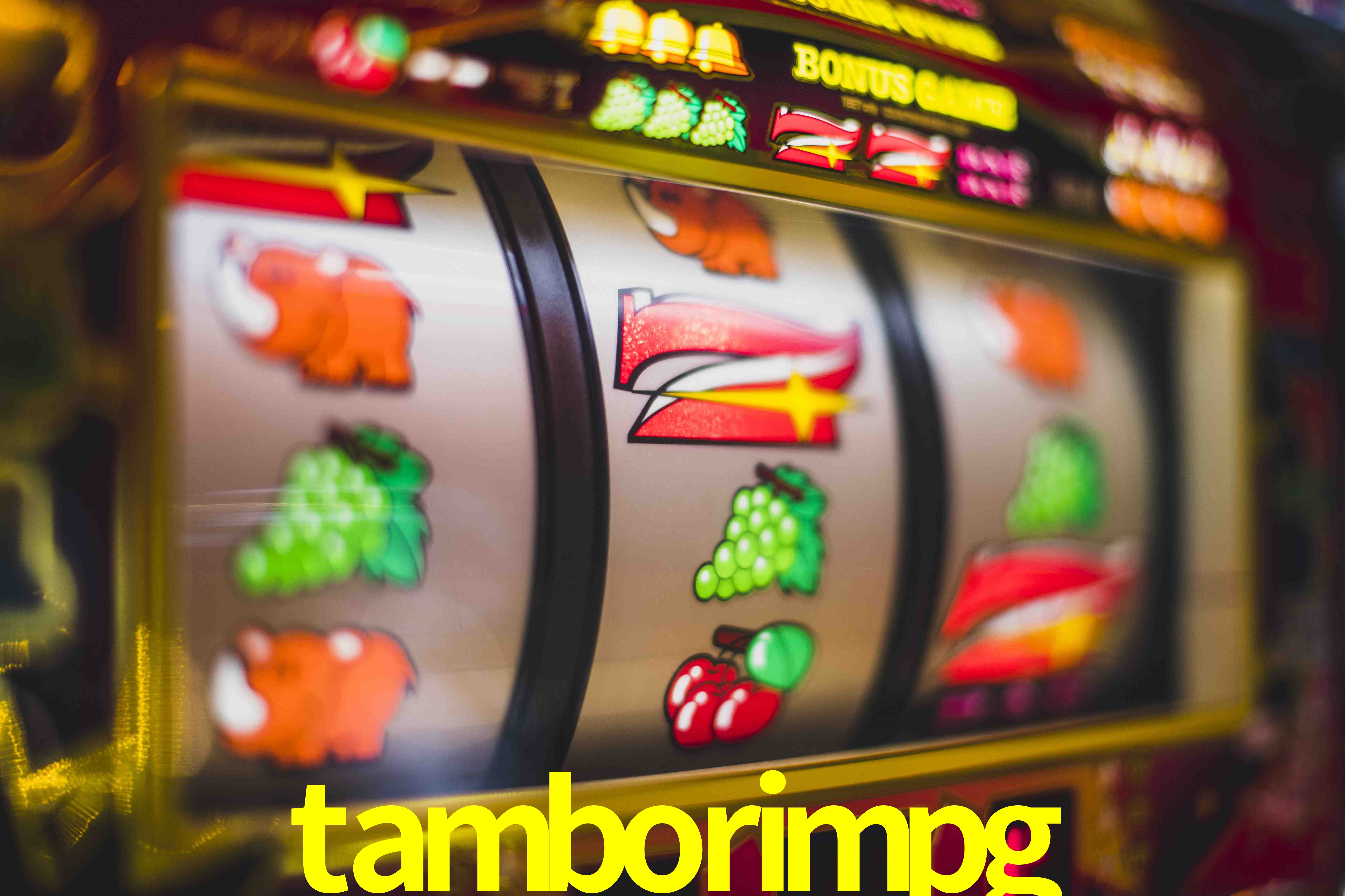 Experiência VIP tamborimpg