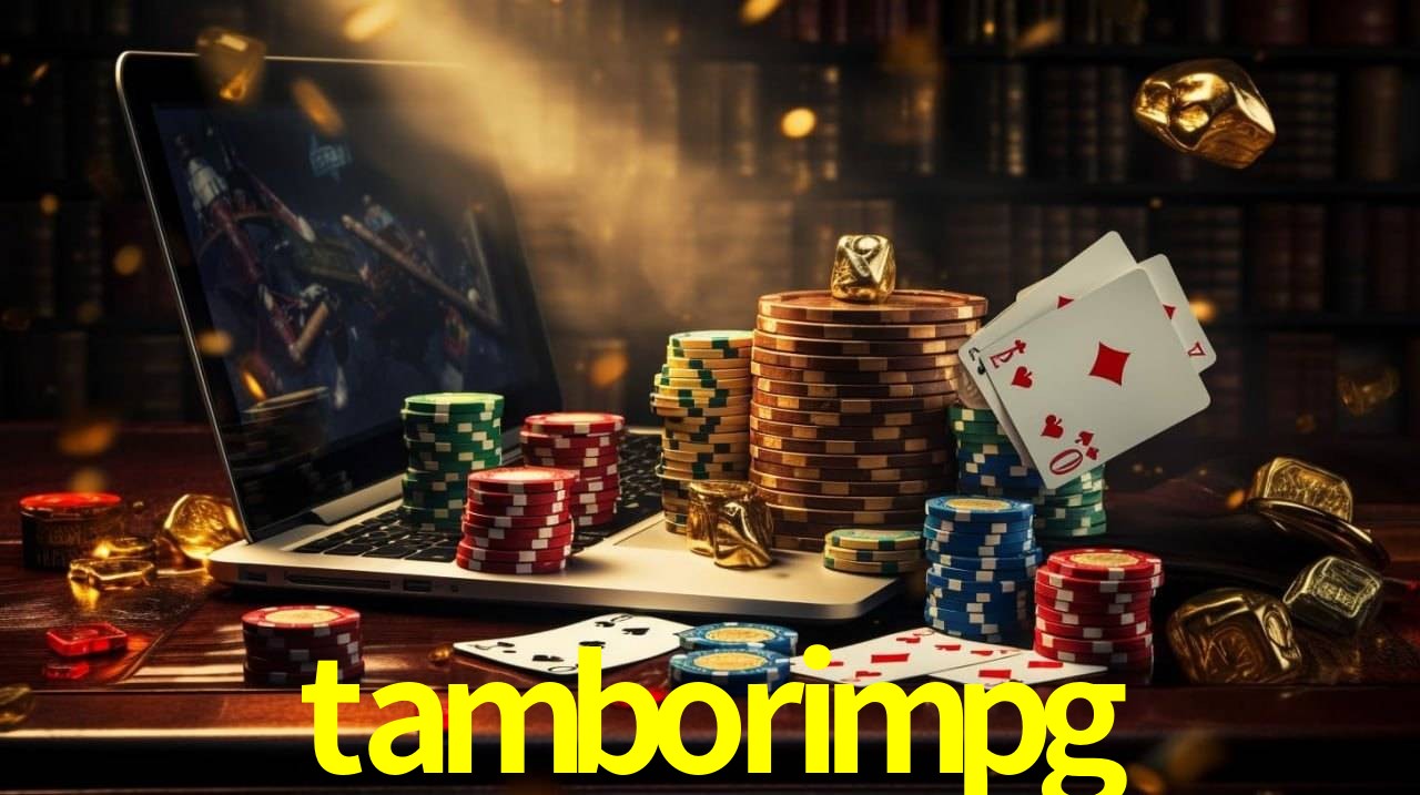 Experiência VIP tamborimpg