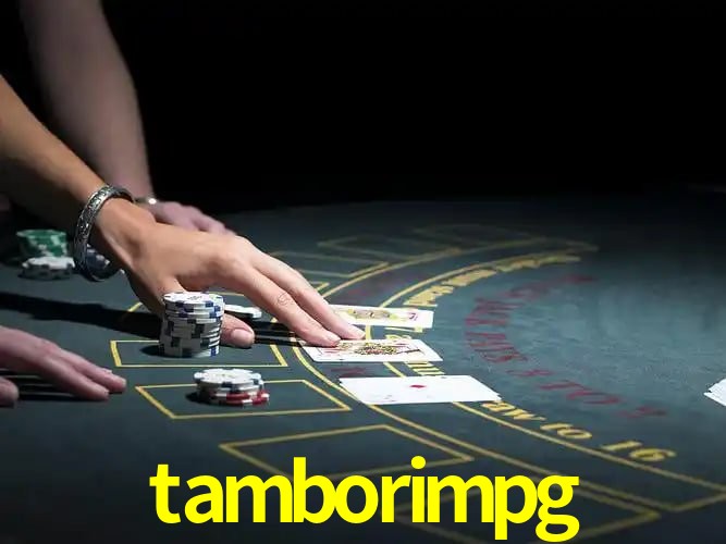 tamborimpg Curitiba - Statistics