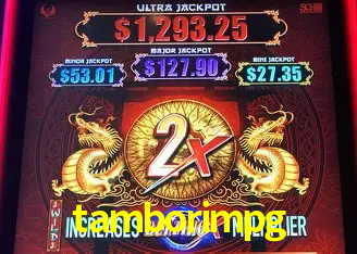 tamborimpg Curitiba - Live Status