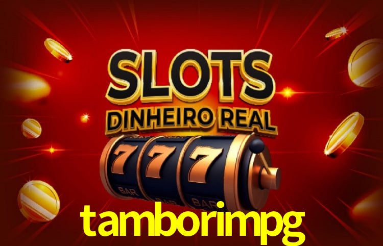 tamborimpg Fortaleza - Reviews