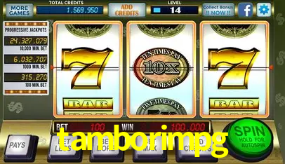 A Experiência Imersiva dos Cassinos Ao Vivo no tamborimpg